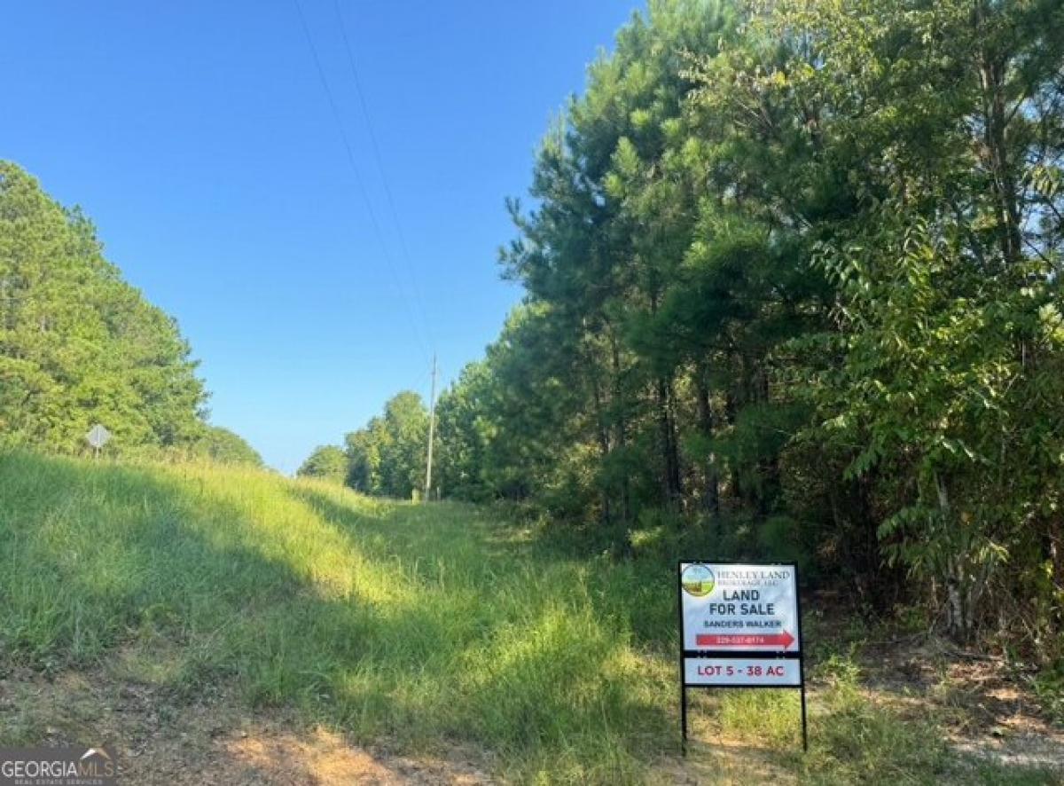 Picture of Residential Land For Sale in Buena Vista, Georgia, United States