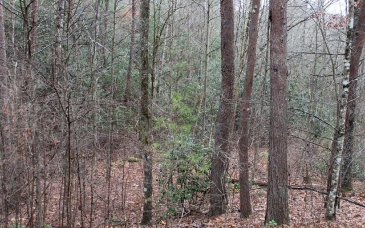 Picture of Residential Land For Sale in Hayesville, North Carolina, United States