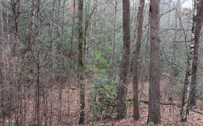 Residential Land For Sale in Hayesville, North Carolina