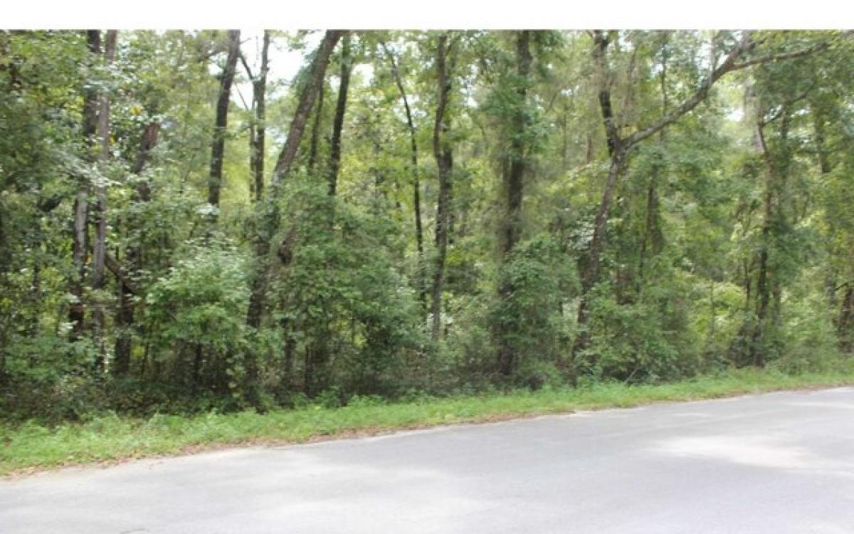 Picture of Residential Land For Sale in Live Oak, Florida, United States