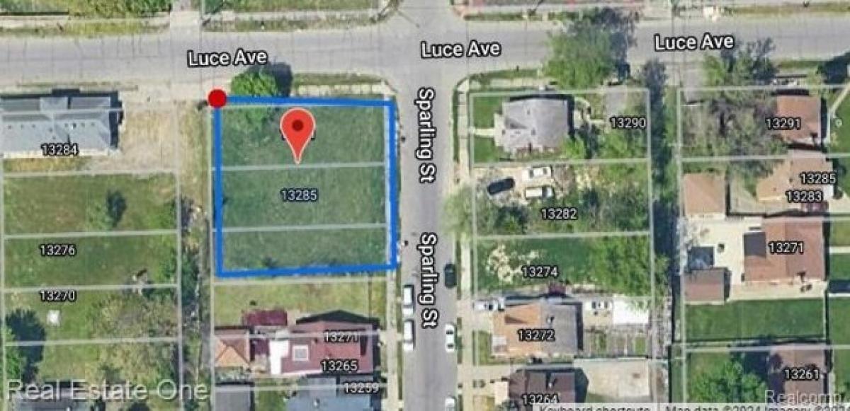 Picture of Residential Land For Sale in Hamtramck, Michigan, United States