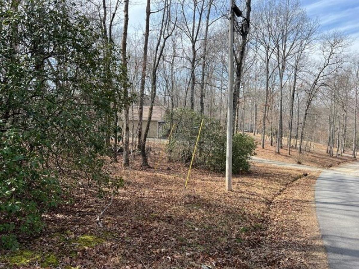 Picture of Residential Land For Sale in Hayesville, North Carolina, United States