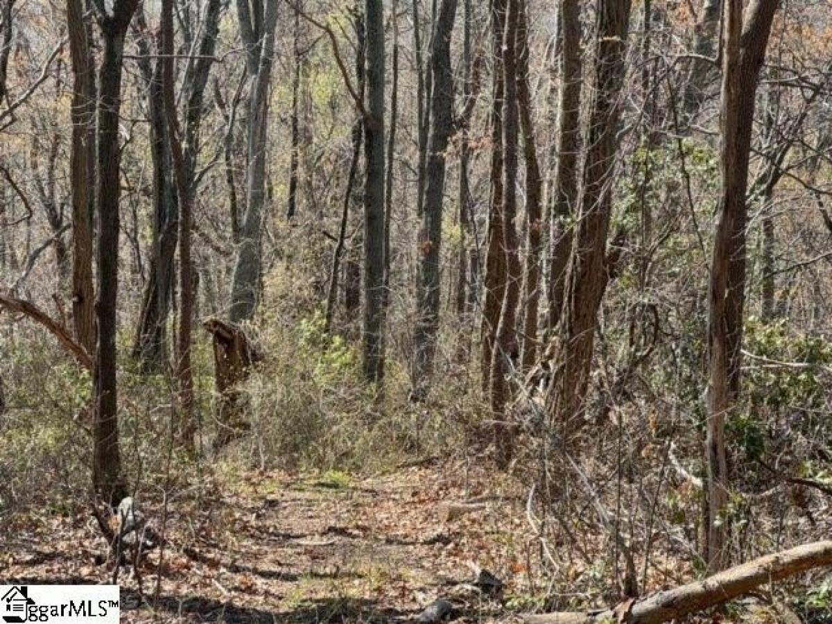 Picture of Residential Land For Sale in Landrum, South Carolina, United States