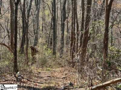 Residential Land For Sale in Landrum, South Carolina