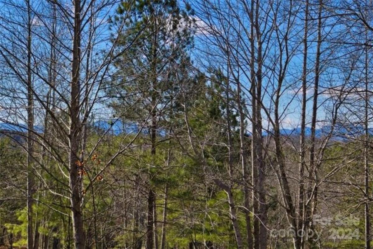 Picture of Residential Land For Sale in Union Mills, North Carolina, United States