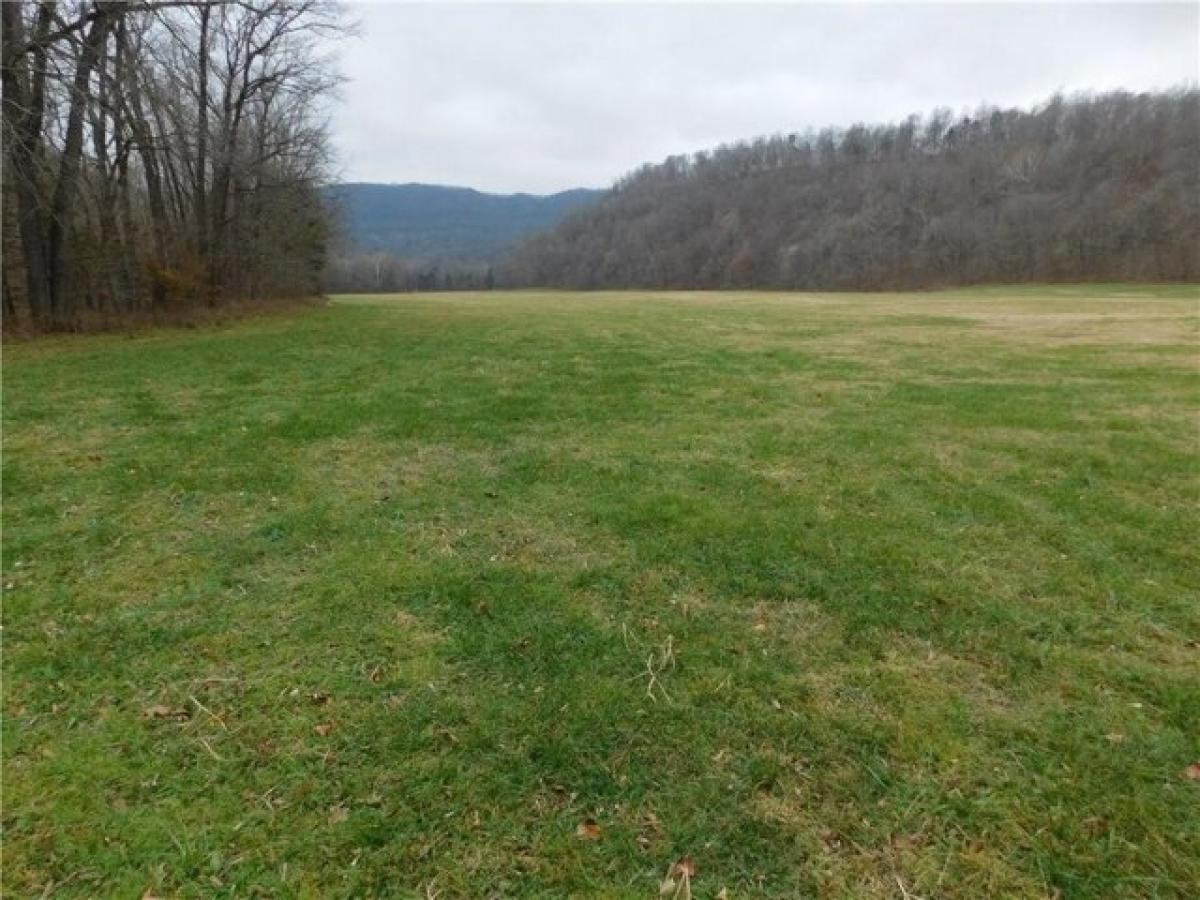 Picture of Residential Land For Sale in Jasper, Arkansas, United States