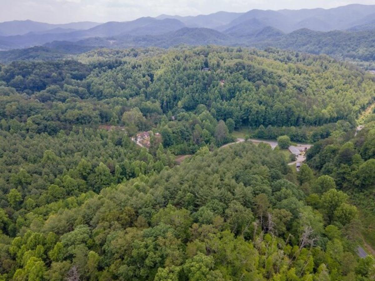 Picture of Residential Land For Sale in Whittier, North Carolina, United States