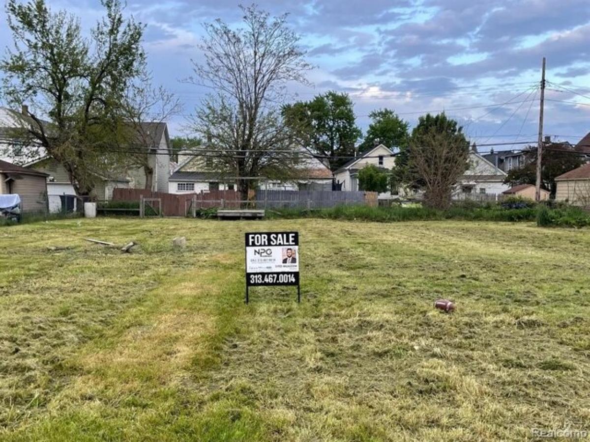 Picture of Residential Land For Sale in Hamtramck, Michigan, United States