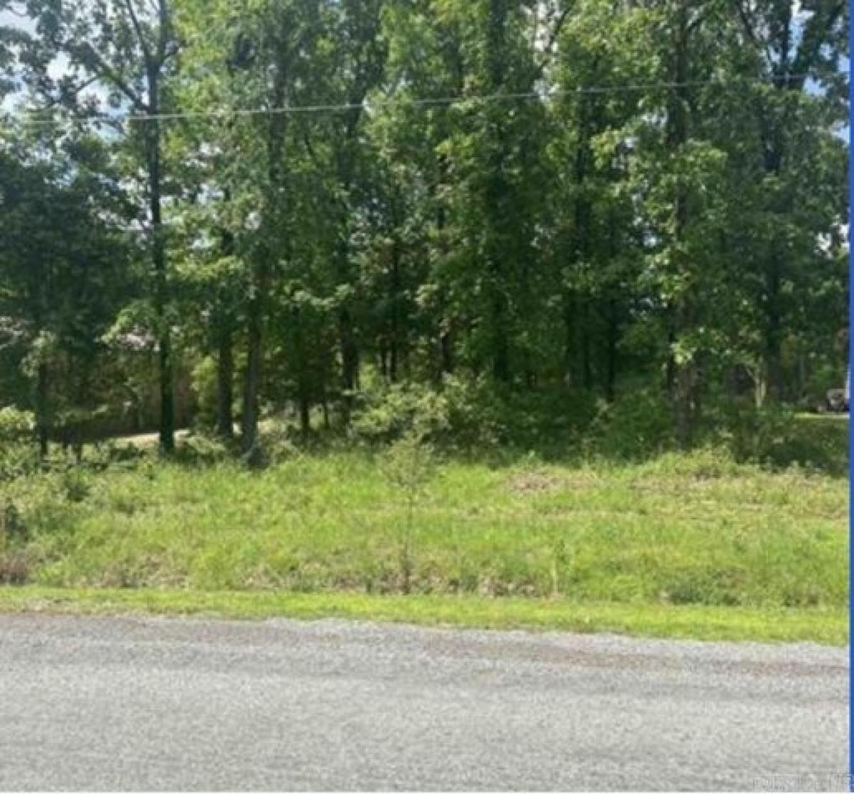 Picture of Residential Land For Sale in Hot Springs, Arkansas, United States