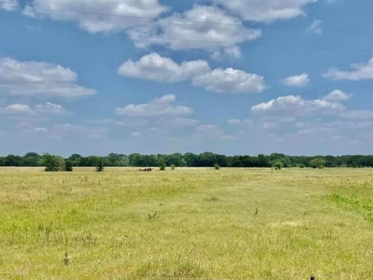 Picture of Residential Land For Sale in Scurry, Texas, United States