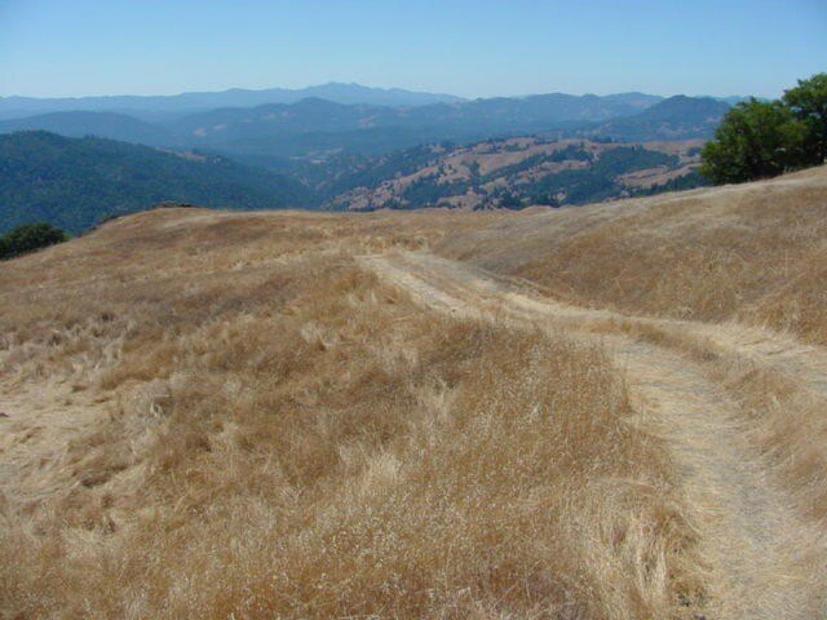 Picture of Home For Sale in Garberville, California, United States