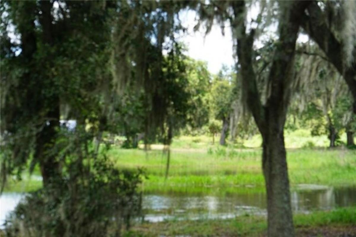 Picture of Residential Land For Sale in Plant City, Florida, United States