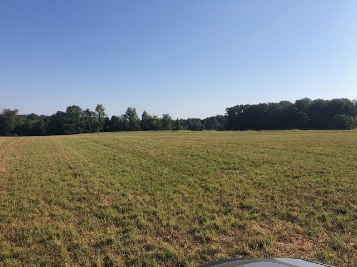 Picture of Residential Land For Sale in Portland, Tennessee, United States