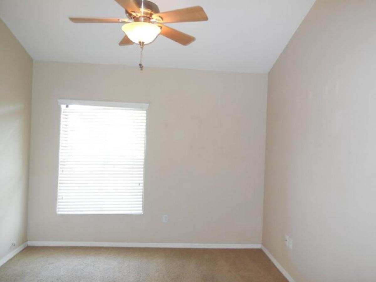 Picture of Apartment For Rent in Chandler, Arizona, United States