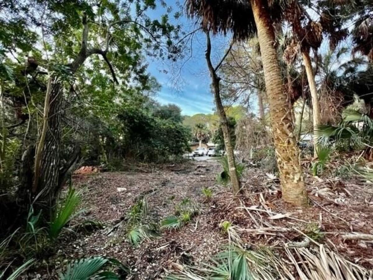 Picture of Residential Land For Sale in New Port Richey, Florida, United States