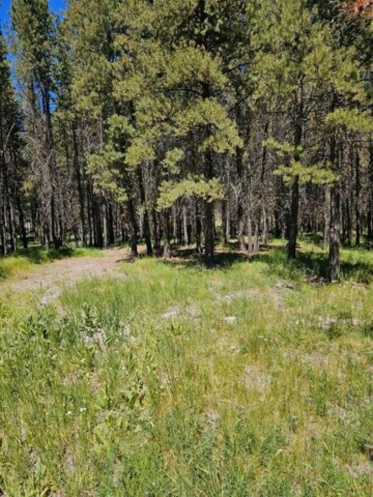 Picture of Residential Land For Sale in Bend, Oregon, United States