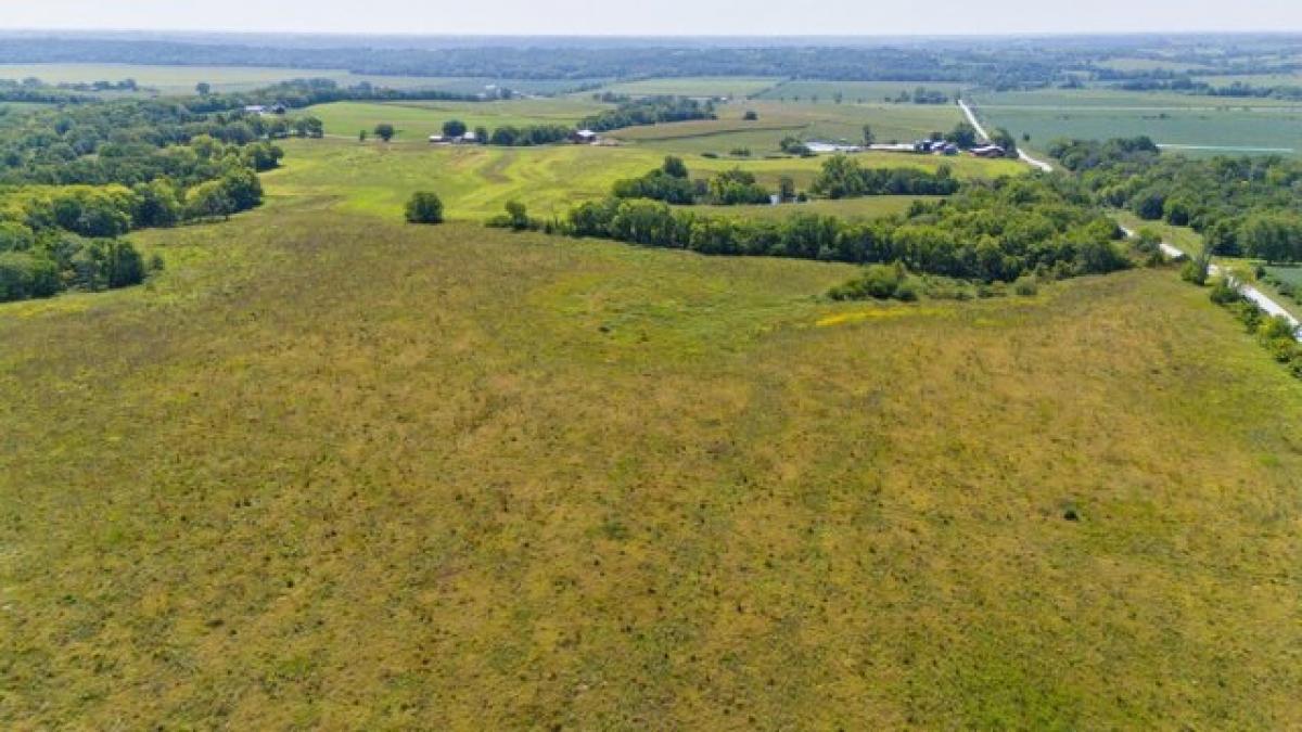 Picture of Residential Land For Sale in Prole, Iowa, United States