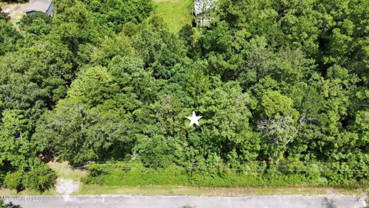 Picture of Residential Land For Rent in Ocean Springs, Mississippi, United States