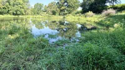 Residential Land For Sale in Hartville, Missouri