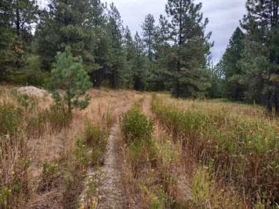 Residential Land For Sale in Valley, Washington