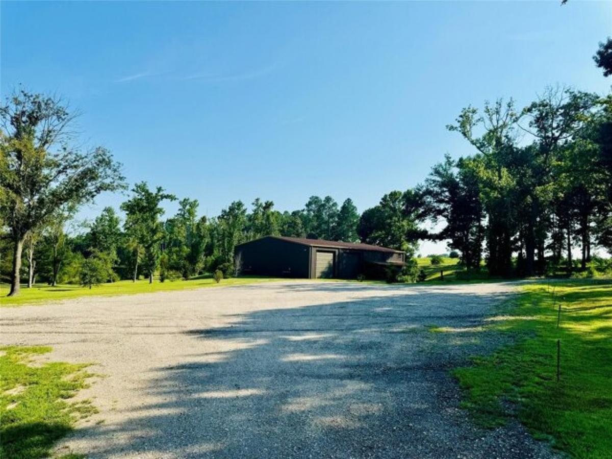 Picture of Residential Land For Sale in Ben Wheeler, Texas, United States