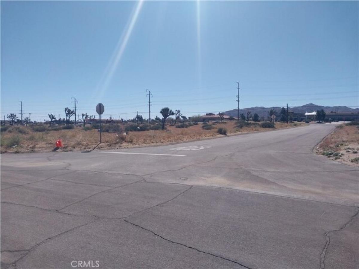 Picture of Residential Land For Sale in Yucca Valley, California, United States