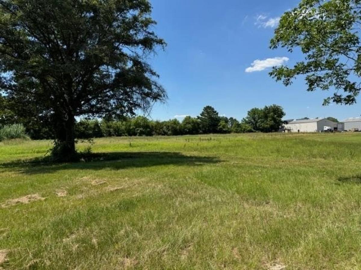 Picture of Residential Land For Sale in Rebecca, Georgia, United States