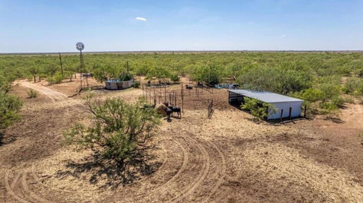 Picture of Residential Land For Sale in Garden City, Texas, United States