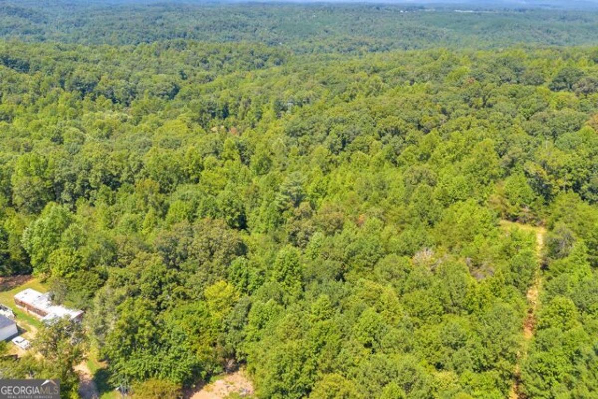 Picture of Residential Land For Sale in Cornelia, Georgia, United States