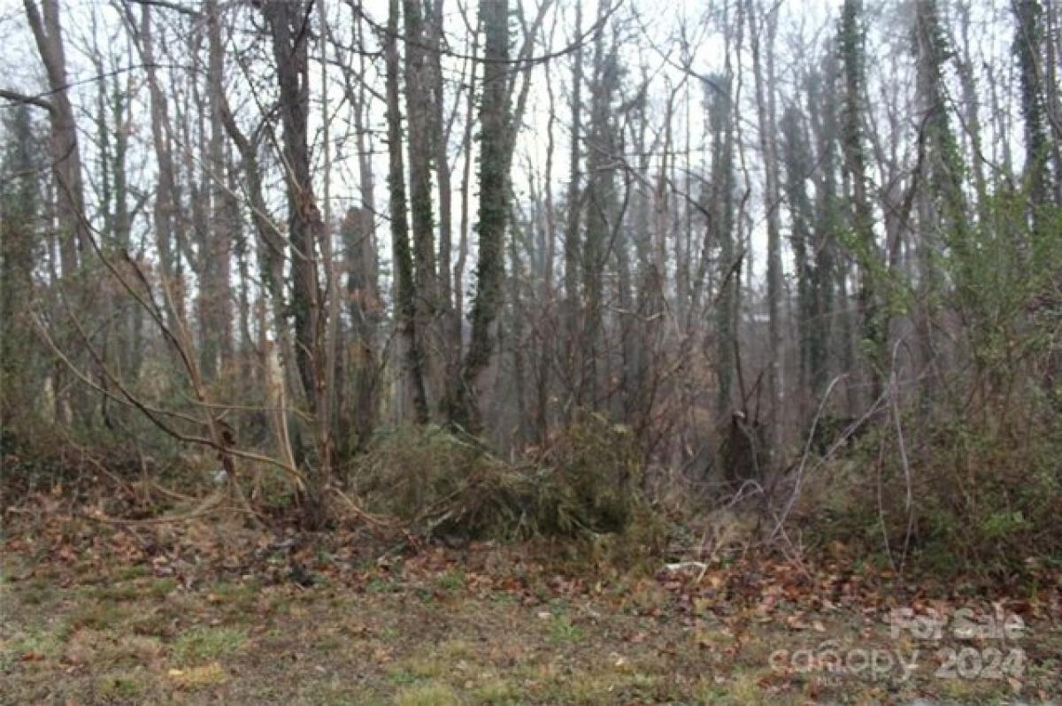 Picture of Residential Land For Sale in Morganton, North Carolina, United States