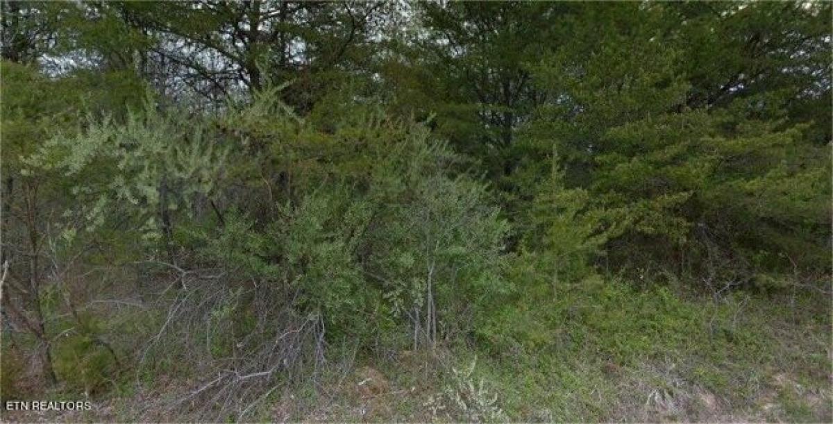 Picture of Residential Land For Rent in Crossville, Tennessee, United States