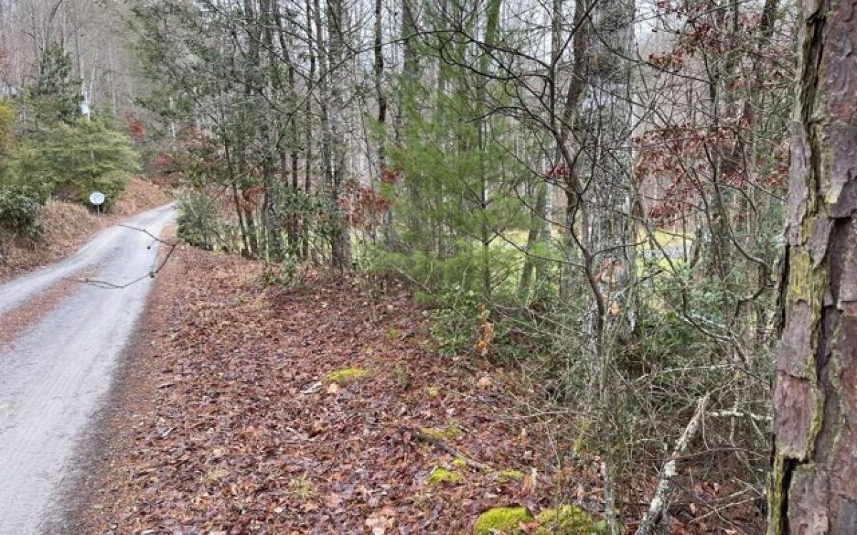 Picture of Residential Land For Sale in Hayesville, North Carolina, United States