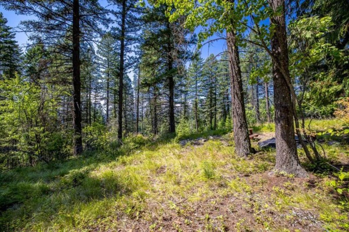 Picture of Residential Land For Sale in Whitefish, Montana, United States