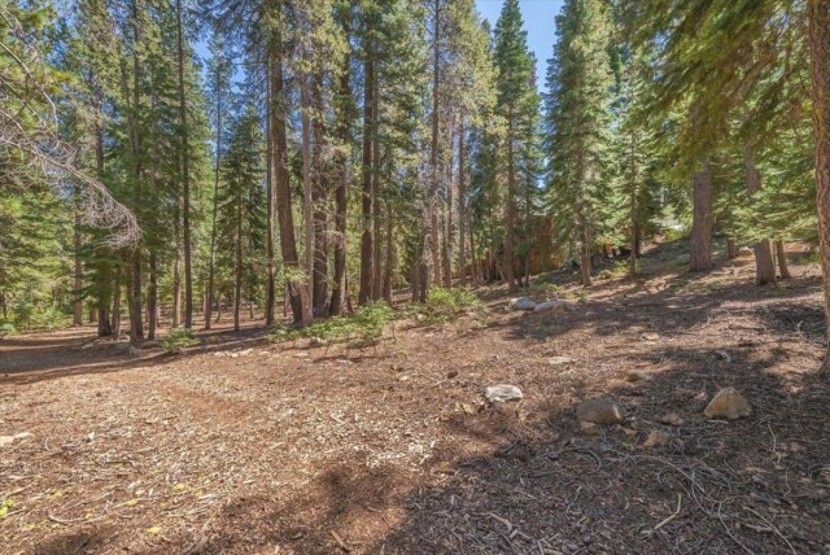 Picture of Residential Land For Sale in Truckee, California, United States