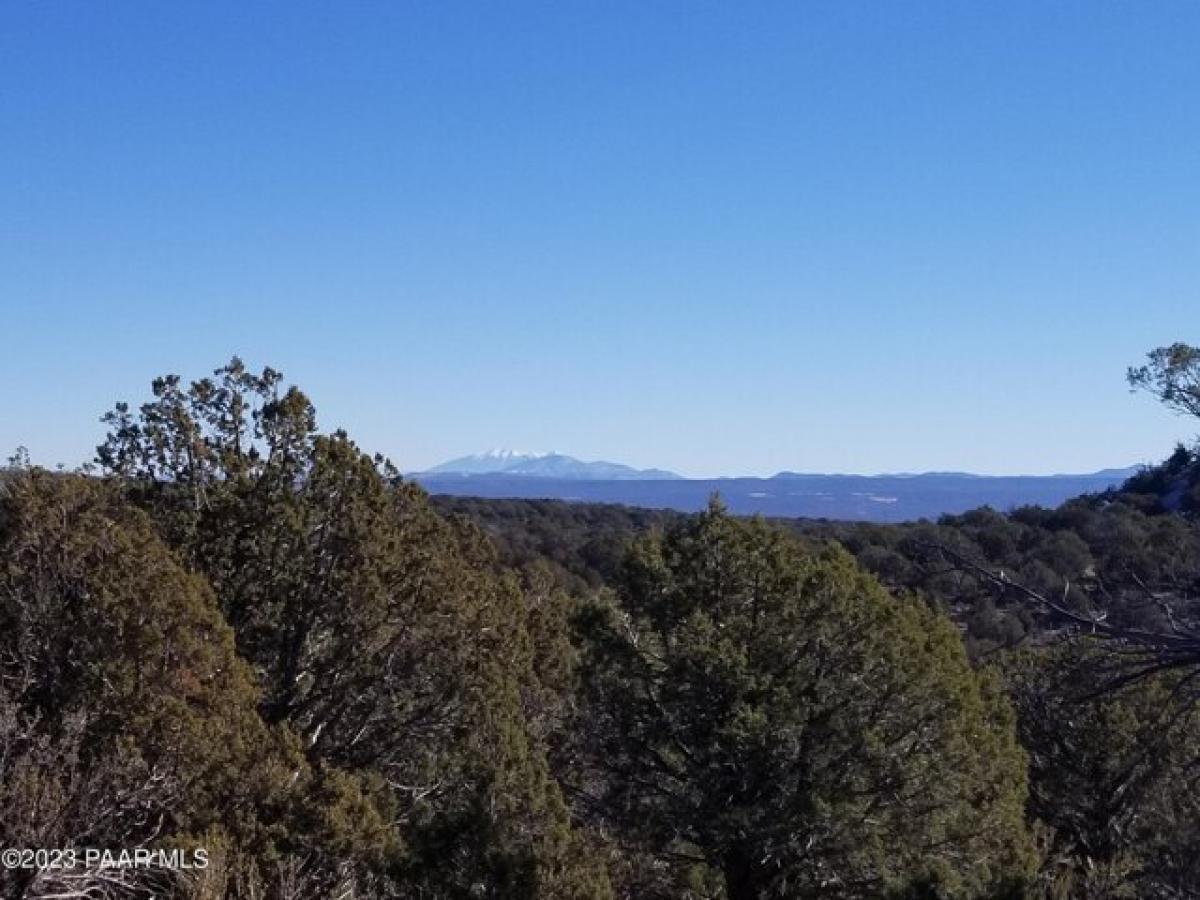 Picture of Residential Land For Sale in Ash Fork, Arizona, United States