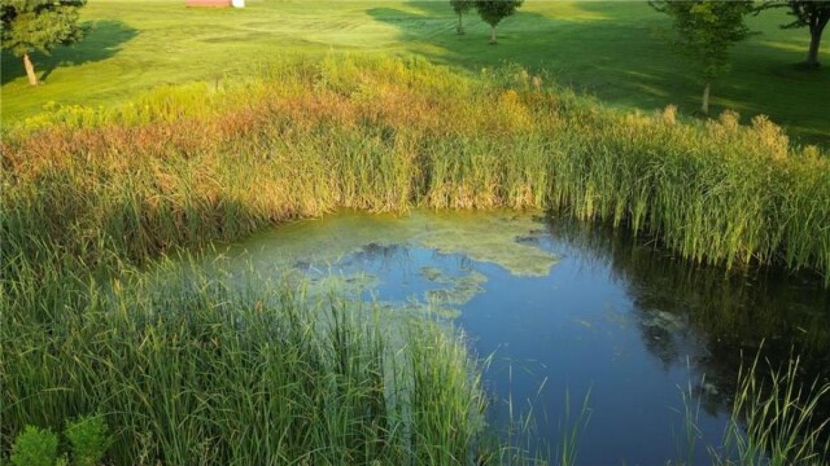 Picture of Home For Sale in Preston, Minnesota, United States