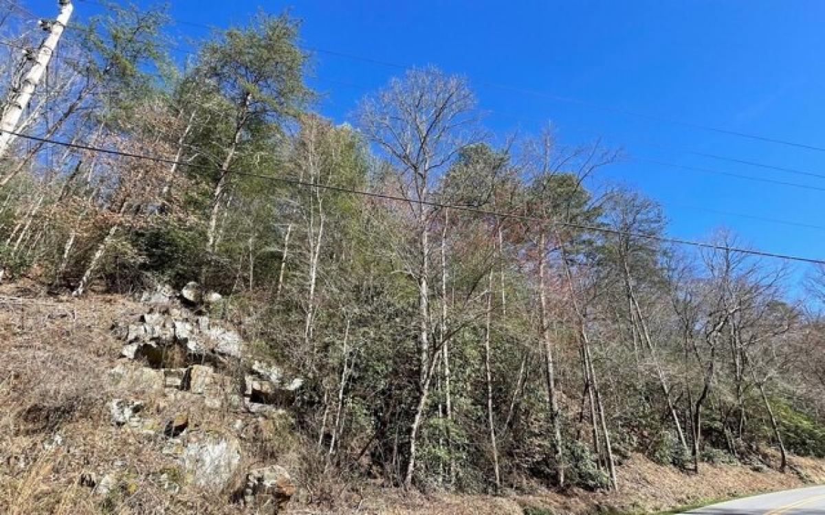 Picture of Residential Land For Sale in Hayesville, North Carolina, United States