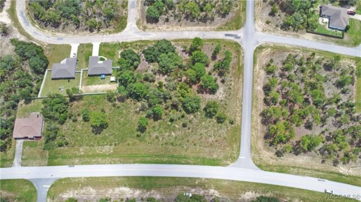 Picture of Residential Land For Sale in Citrus Springs, Florida, United States