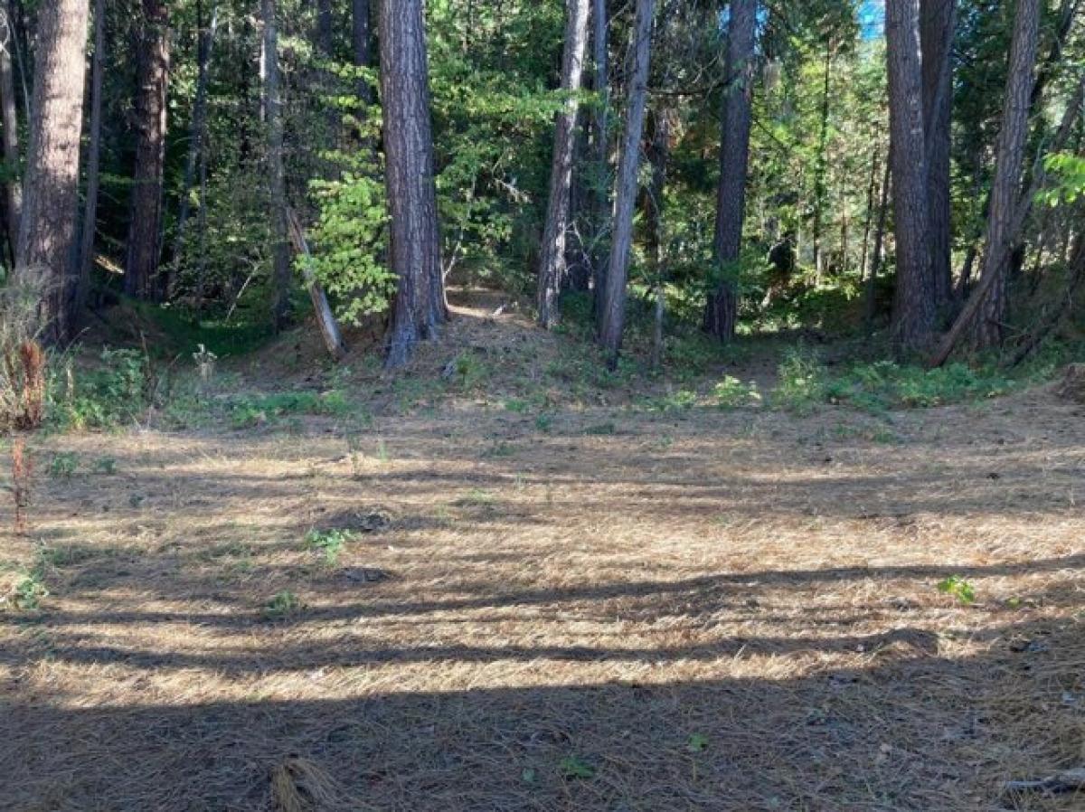 Picture of Residential Land For Sale in Nevada City, California, United States