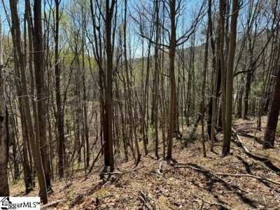 Residential Land For Sale in Landrum, South Carolina