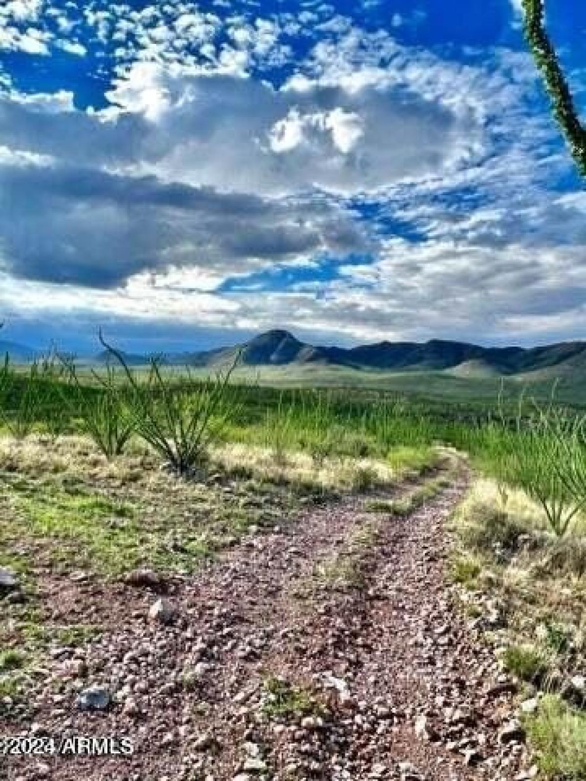 Picture of Residential Land For Sale in Bisbee, Arizona, United States