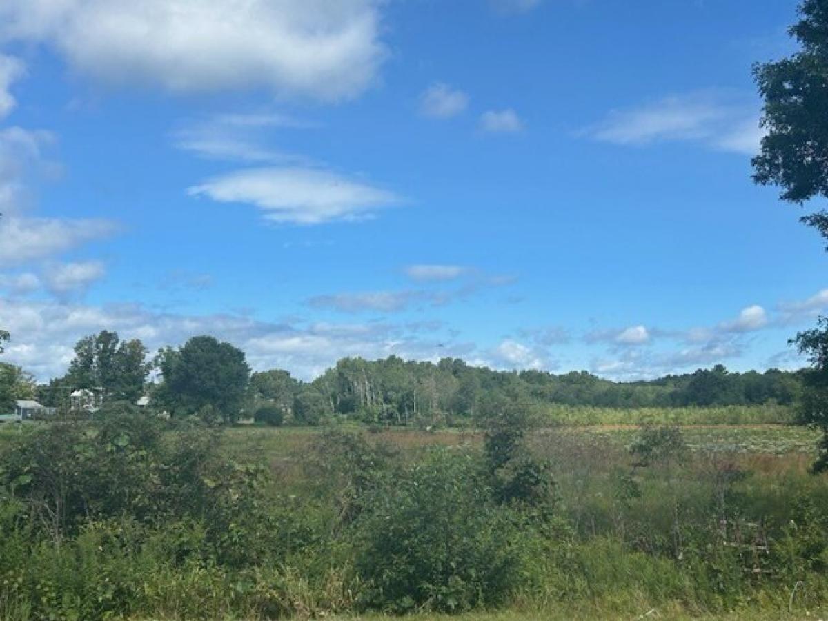 Picture of Residential Land For Sale in Granby, Massachusetts, United States