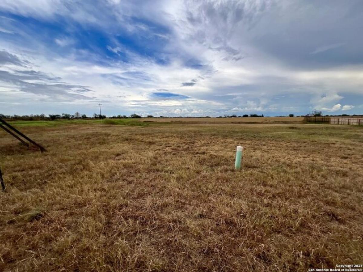 Picture of Residential Land For Sale in Poth, Texas, United States