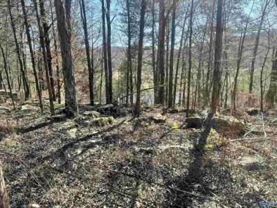 Residential Land For Sale in Woodville, Alabama