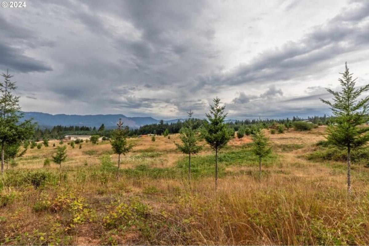 Picture of Residential Land For Sale in Camas Valley, Oregon, United States