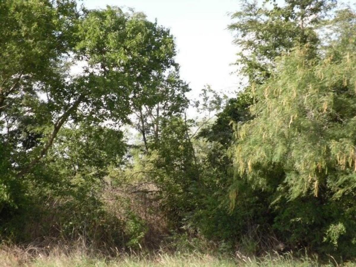 Picture of Residential Land For Sale in Coolidge, Texas, United States