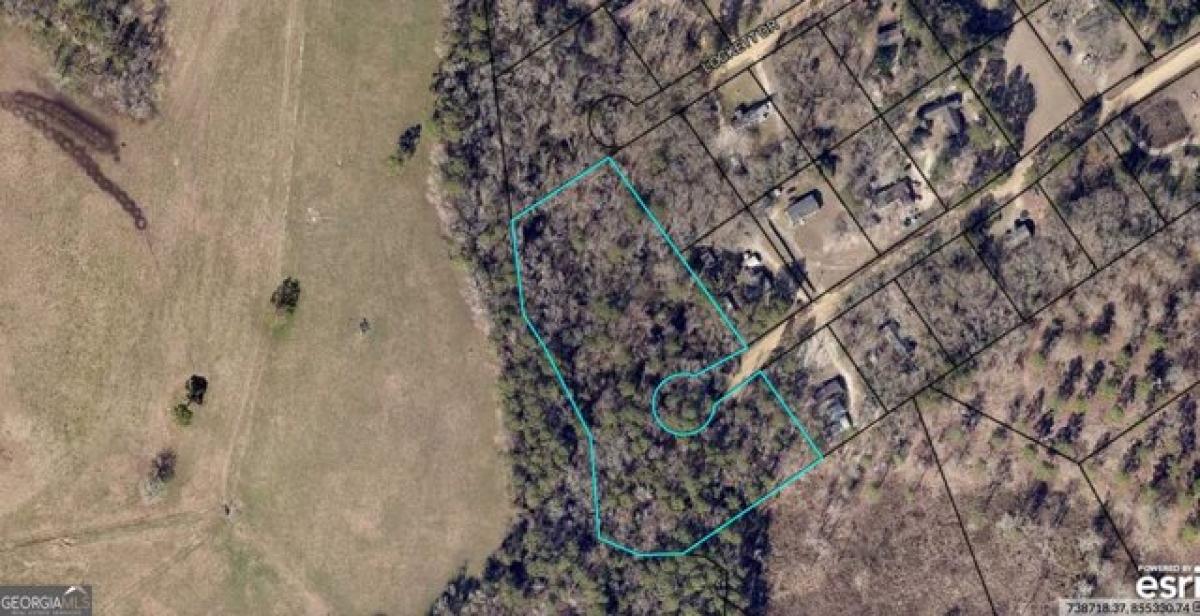 Picture of Residential Land For Sale in Register, Georgia, United States