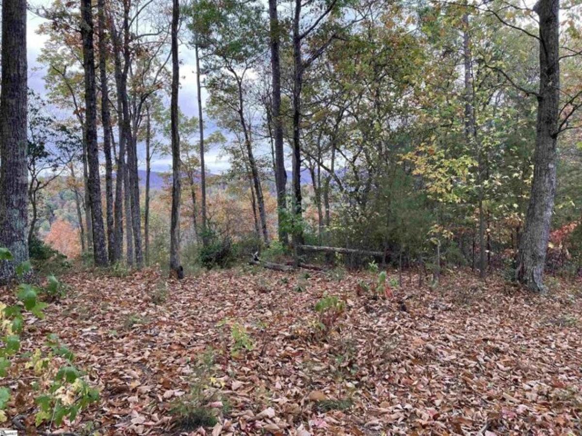 Picture of Residential Land For Sale in Marietta, South Carolina, United States