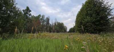 Residential Land For Sale in Deer Park, Washington