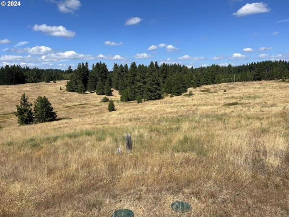 Picture of Home For Sale in Lyle, Washington, United States